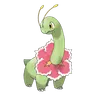 大竺葵