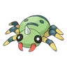 圆丝蛛