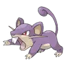 Rattata