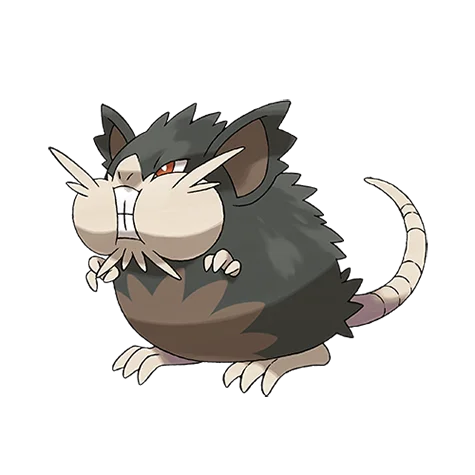 Raticate