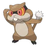 探探鼠