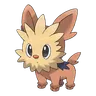 Lillipup