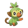Grookey