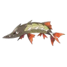 Barrakiefa