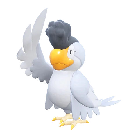squawkabilly-white